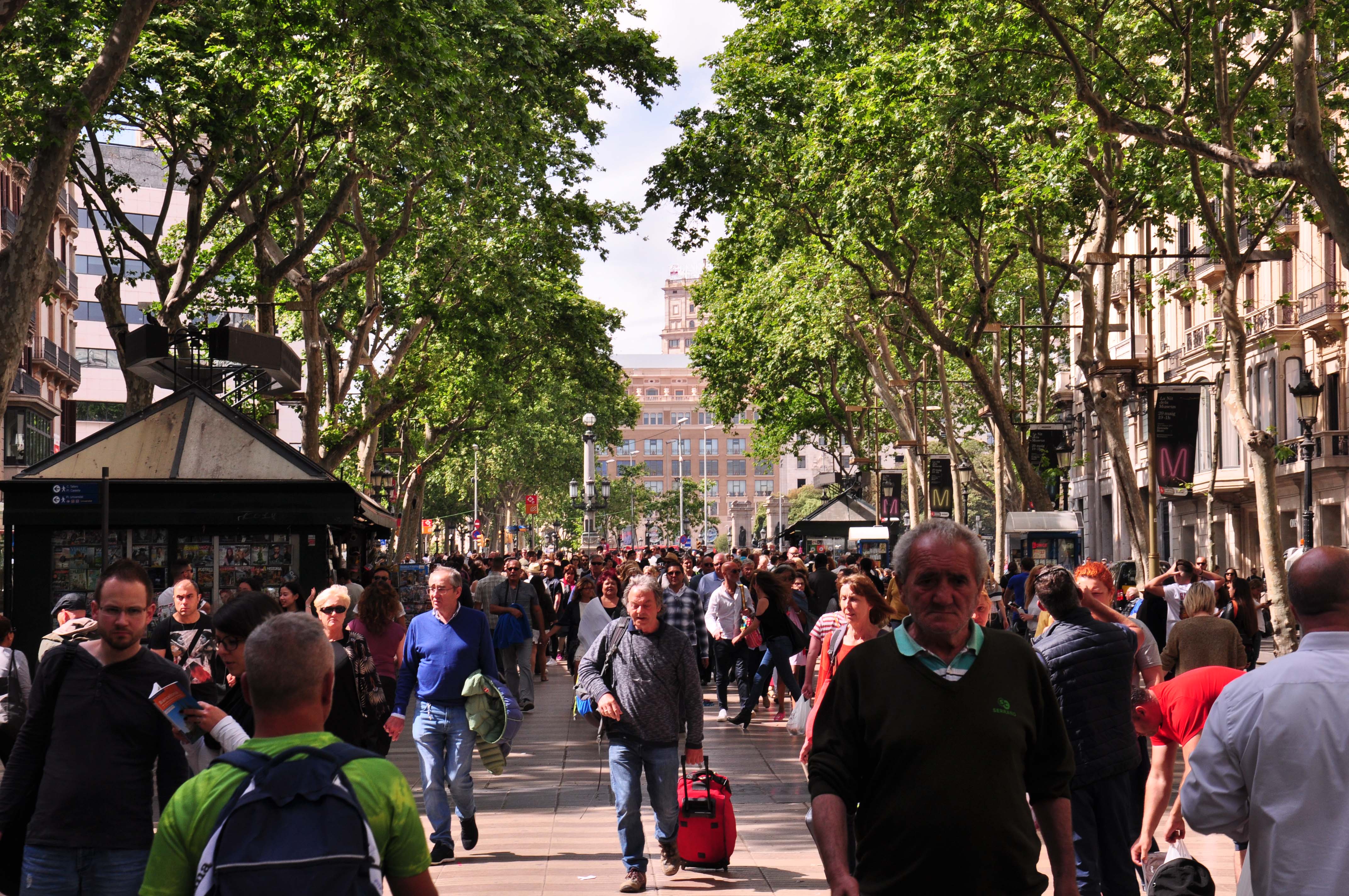 La Rambla Barcelona History Sights And Stories Original Barcelona Tours